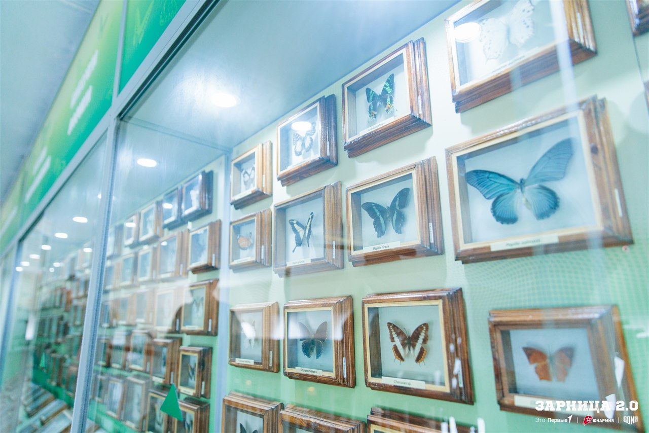 Фото «Зарницы 2.0»: Динамичный манёвр группы LASERWAR — №900