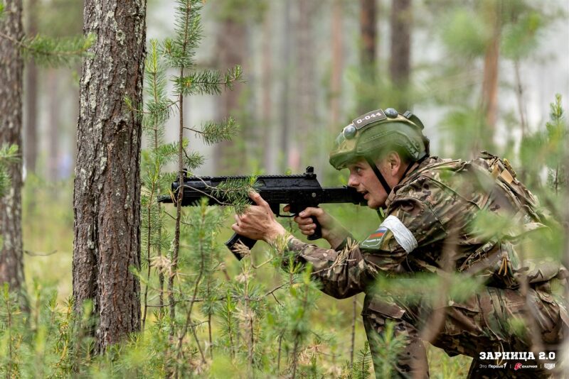 Фото «Зарницы 2.0»: Низкая стойка в сухой траве с тагером — №1176