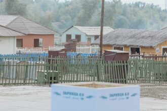 Фото «Зарницы 2.0»: Движение цепочкой по полевой дороге — №234