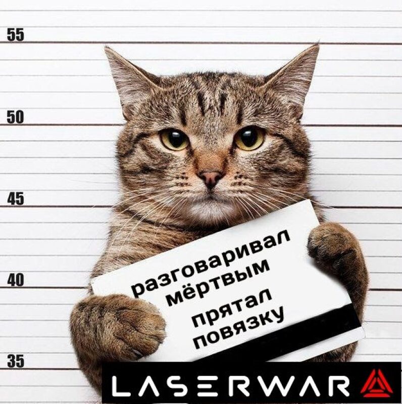 Кот-боец LASERWAR с табличкой о своих проступках.