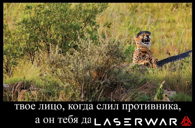 Гепард LASERWAR в засаде с автоматом