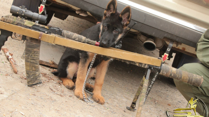 Итоги конкурса на лучшее фото октября