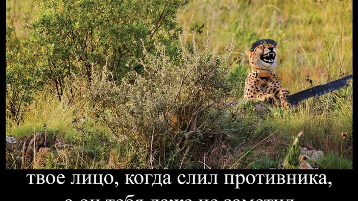 Итоги конкурса интернет-мемов. Август 2017