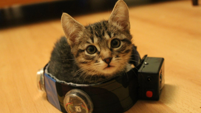 Итоги конкурса на лучшее фото января 2014