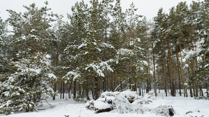 ИТОГИ КОНКУРСА «ЛУЧШЕЕ ЛАЗЕРТАГ-ФОТО ФЕВРАЛЯ 2016»