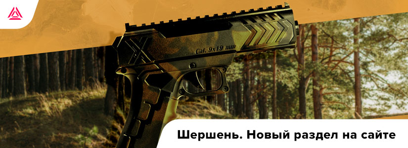 «Шершень». Новый взгляд