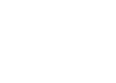 Партизан
