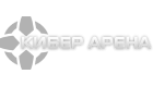 Кибер арена