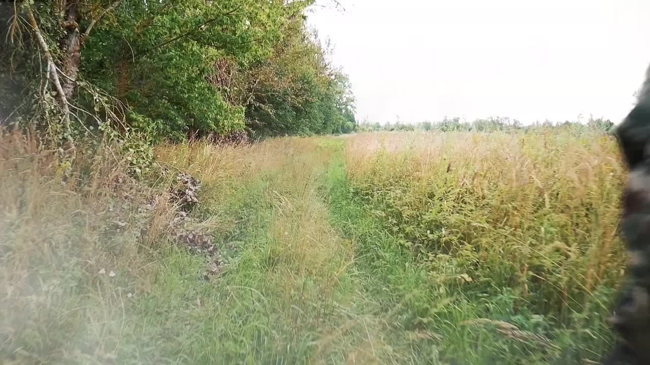 Видео