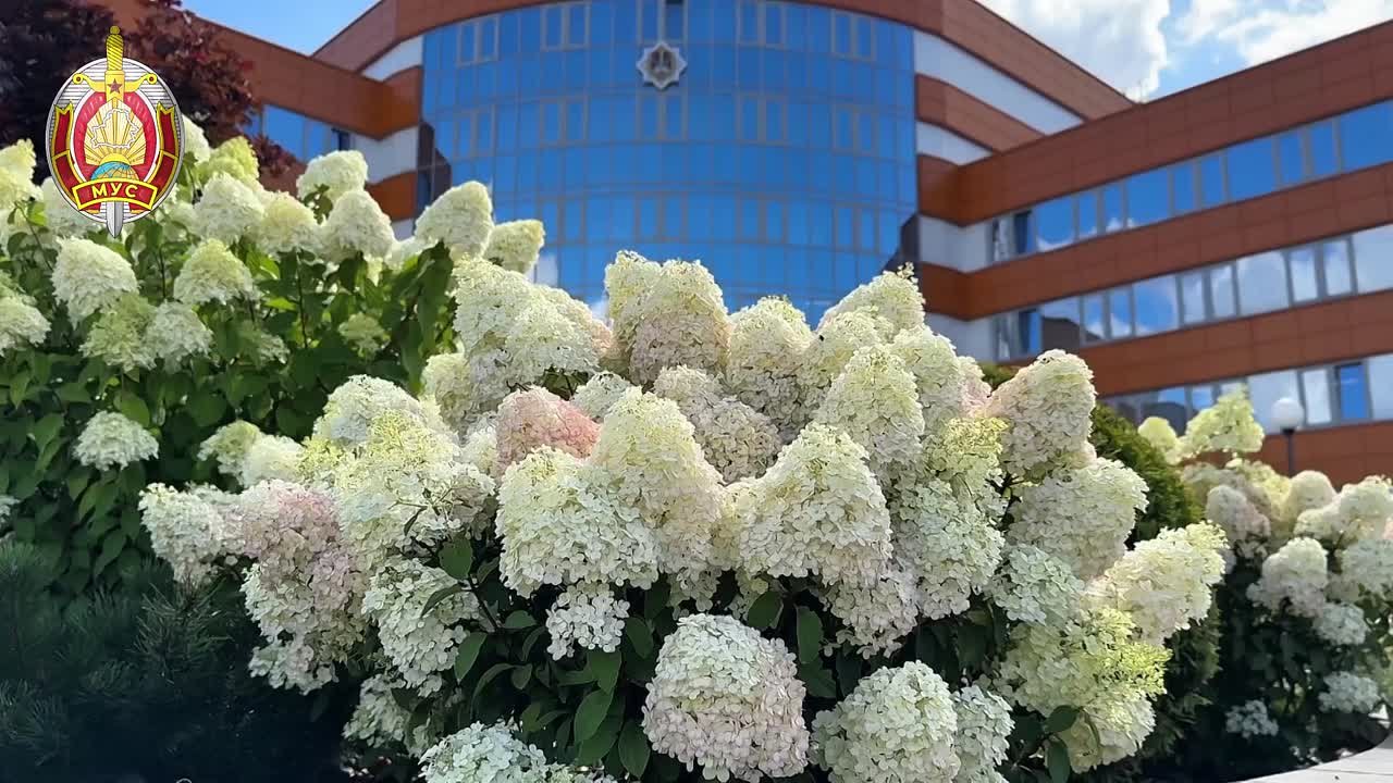 Горячие лазертаг-битвы на слёте МВД Беларуси